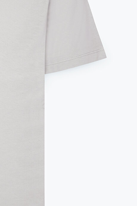 Standart Fit Normal Kesim Bisiklet Yaka Pamuklu Açık Gri Tişört resmi