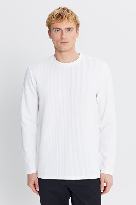 Slim Fit Dar Kesim Bisiklet Yaka Jakarlı Esnek Ekru Uzun Kollu Tişört resmi
