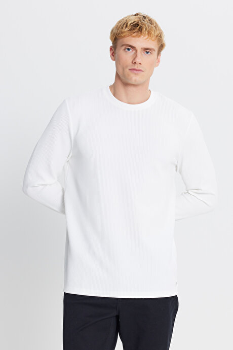 Slim Fit Dar Kesim Bisiklet Yaka Jakarlı Esnek Ekru Uzun Kollu Tişört resmi