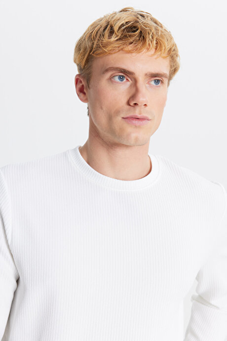 Slim Fit Dar Kesim Bisiklet Yaka Jakarlı Esnek Ekru Uzun Kollu Tişört resmi