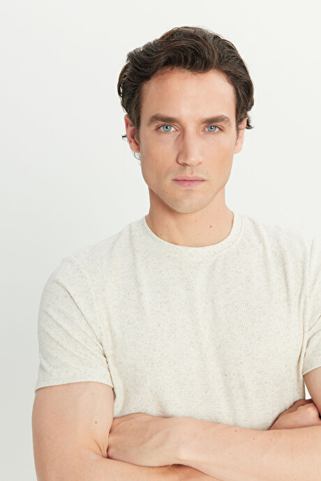 Keten Slim Fit Dar Kesim Bisiklet Yaka Jakarlı Bej Tişört resmi