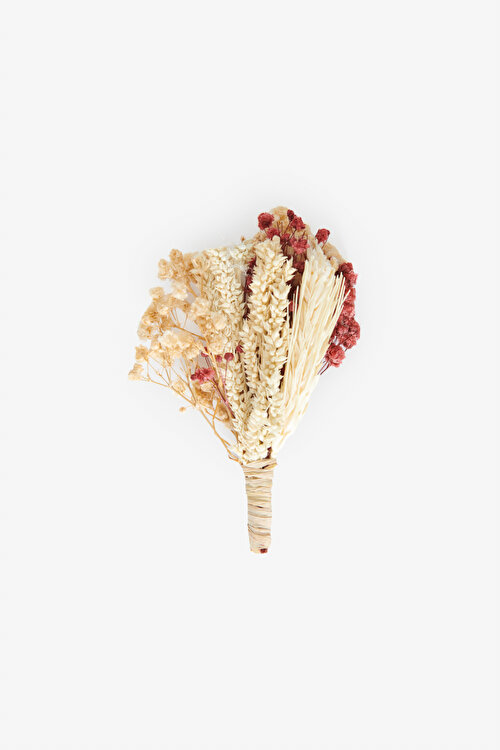 Desenli Bej-Kırmızı Yaka Çiçeği4A4224200007BKM